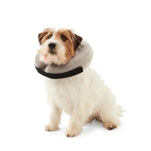 https://assets.kmart.com.au/transform/29ad25ea-fe4b-40bf-87c8-2a9df7f7a32d/43352463-1 - Purchase from an Australian pet store near you