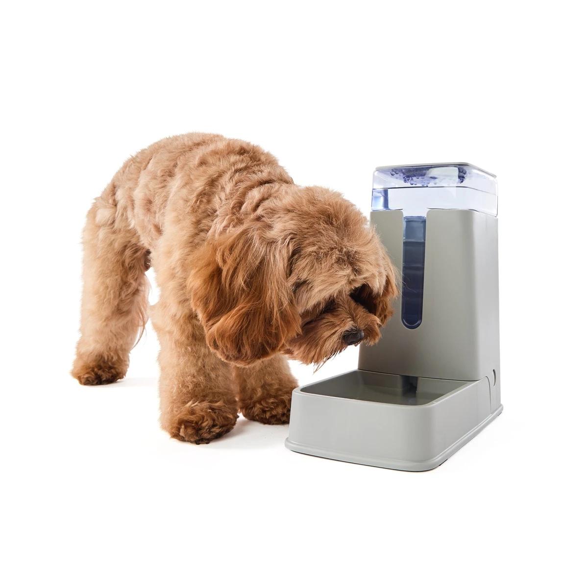 https://assets.kmart.com.au/transform/f0b8af84-c699-4fd0-91cf-7925a629109e/43408634-1 - Purchase from an Australian pet store near you - Mindiampets | Pet Shop Online https://assets.kmart.com.au/transform/f0b8af84-c699-4fd0-91cf-7925a629109e/43408634-1 - Purchase from an Australian pet store near you