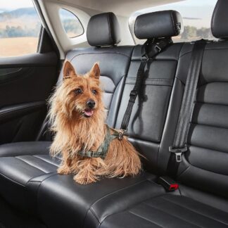 Pet Car Head Rest Tether - Purchase from an Australian pet store near you