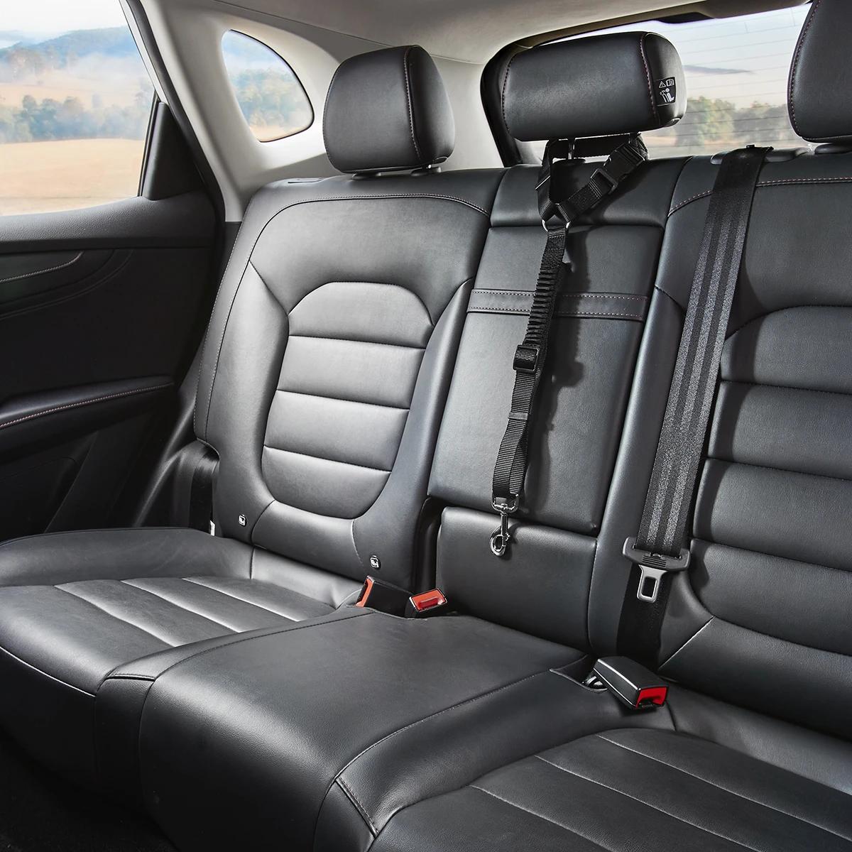 43408641-3 - Mindiampets | Pet Shop Online