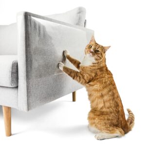 https://assets.kmart.com.au/transform/f11817a4-e5ef-47d8-b81f-f2cda7375f41/43510290-1 - Purchase from an Australian pet store near you