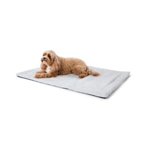 https://assets.kmart.com.au/transform/5b12b21c-9174-44fb-bbda-817d1817a855/43512072-1 - Purchase from an Australian pet store near you