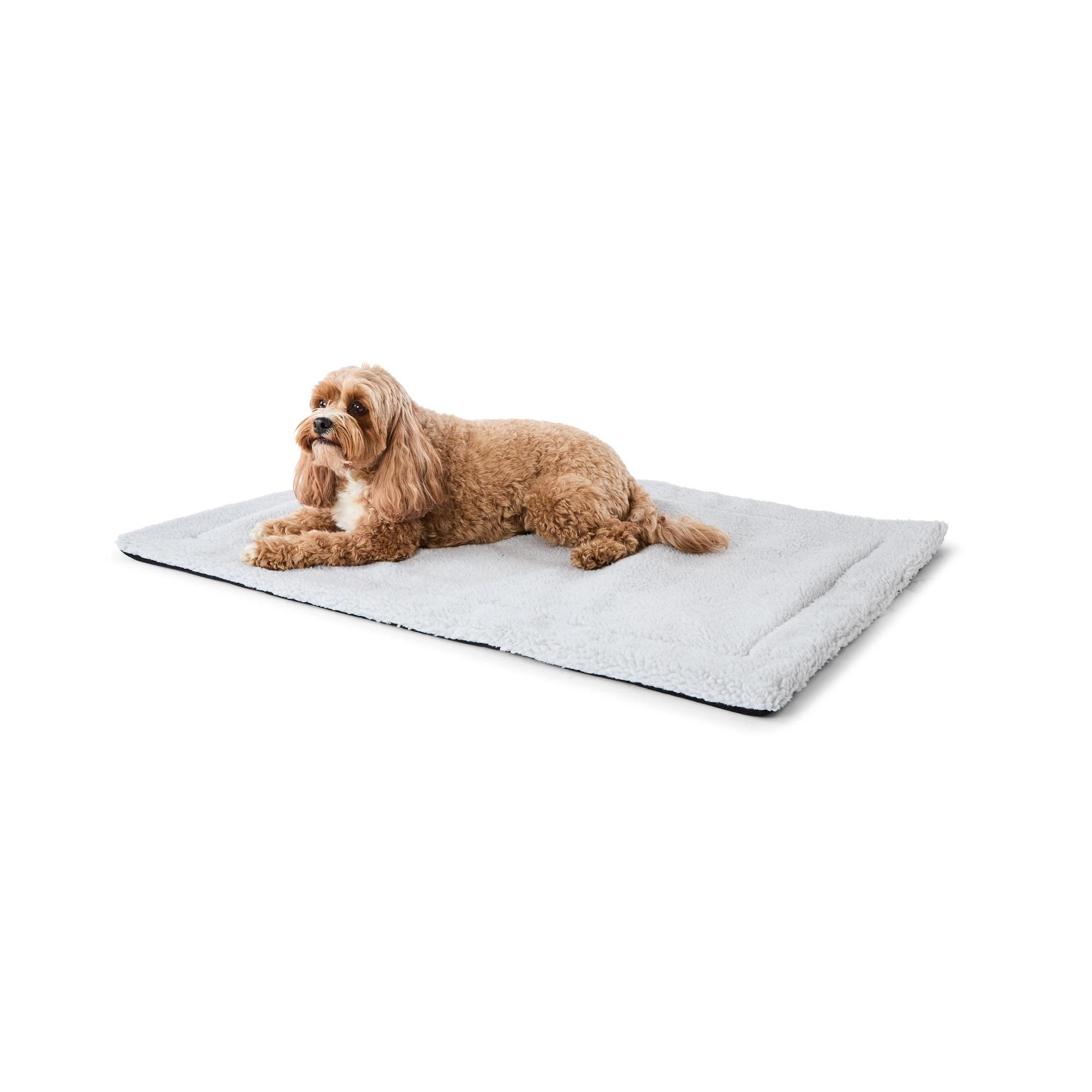 https://assets.kmart.com.au/transform/5b12b21c-9174-44fb-bbda-817d1817a855/43512072-1 - Purchase from an Australian pet store near you - Mindiampets | Pet Shop Online https://assets.kmart.com.au/transform/5b12b21c-9174-44fb-bbda-817d1817a855/43512072-1 - Purchase from an Australian pet store near you