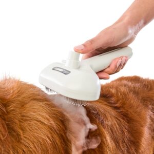 https://assets.kmart.com.au/transform/f98db292-b5e7-41a5-ac56-a647a30d8da5/43512874-1 - Purchase from an Australian pet store near you