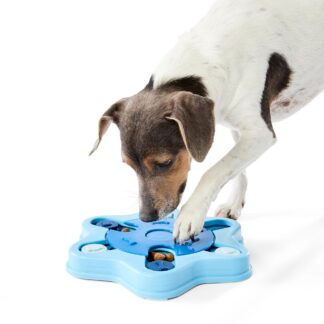 Pet IQ Toy Maze - Purchase from an Australian pet store near you