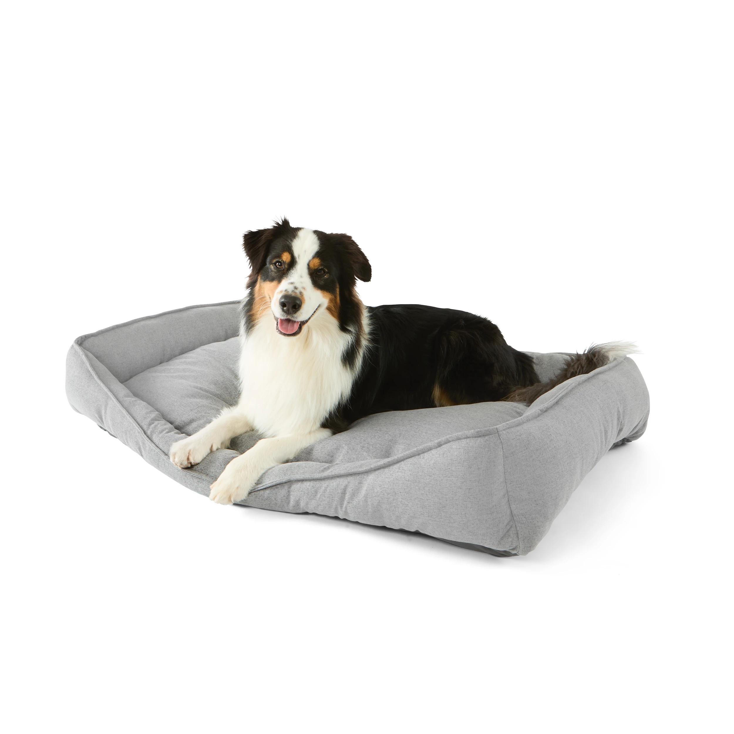 https://assets.kmart.com.au/transform/b55a588b-542a-43ea-abc1-53491201115f/43552405-1 - Purchase from an Australian pet store near you - Mindiampets | Pet Shop Online https://assets.kmart.com.au/transform/b55a588b-542a-43ea-abc1-53491201115f/43552405-1 - Purchase from an Australian pet store near you