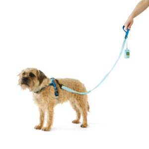 https://assets.kmart.com.au/transform/96ce4fc1-f178-42d9-a6ac-231569840b40/43554133-1 - Purchase from an Australian pet store near you