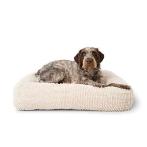 https://assets.kmart.com.au/transform/232231c4-f761-4762-a4f9-938ffb66cecc/43659364-1 - Purchase from an Australian pet store near you