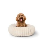 https://assets.kmart.com.au/transform/37b909b6-3170-4597-9db2-92e6cbbc09e2/43659692-1 - Purchase from an Australian pet store near you