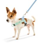 https://assets.kmart.com.au/transform/1be3965e-b1cd-4717-a047-ae70e8d9adc3/43661534-1 - Purchase from an Australian pet store near you