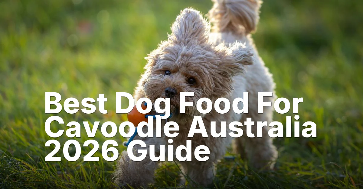 Best Dog Food For Cavoodle Australia — featured guide image