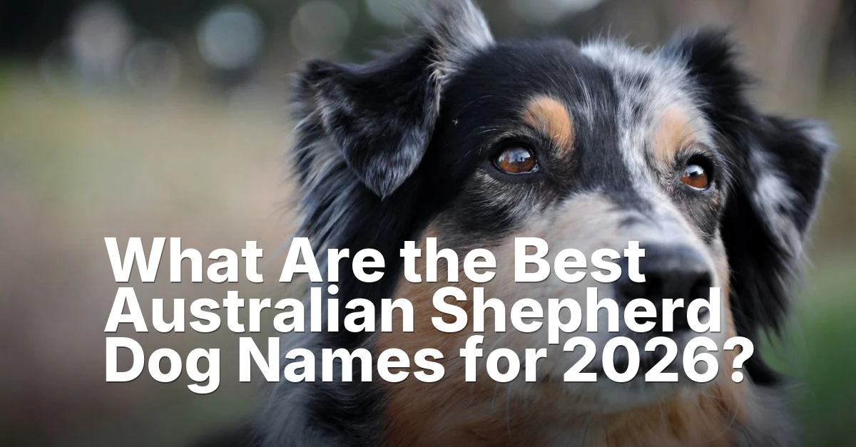 Best Australian Shepherd Dog Names — featured guide image