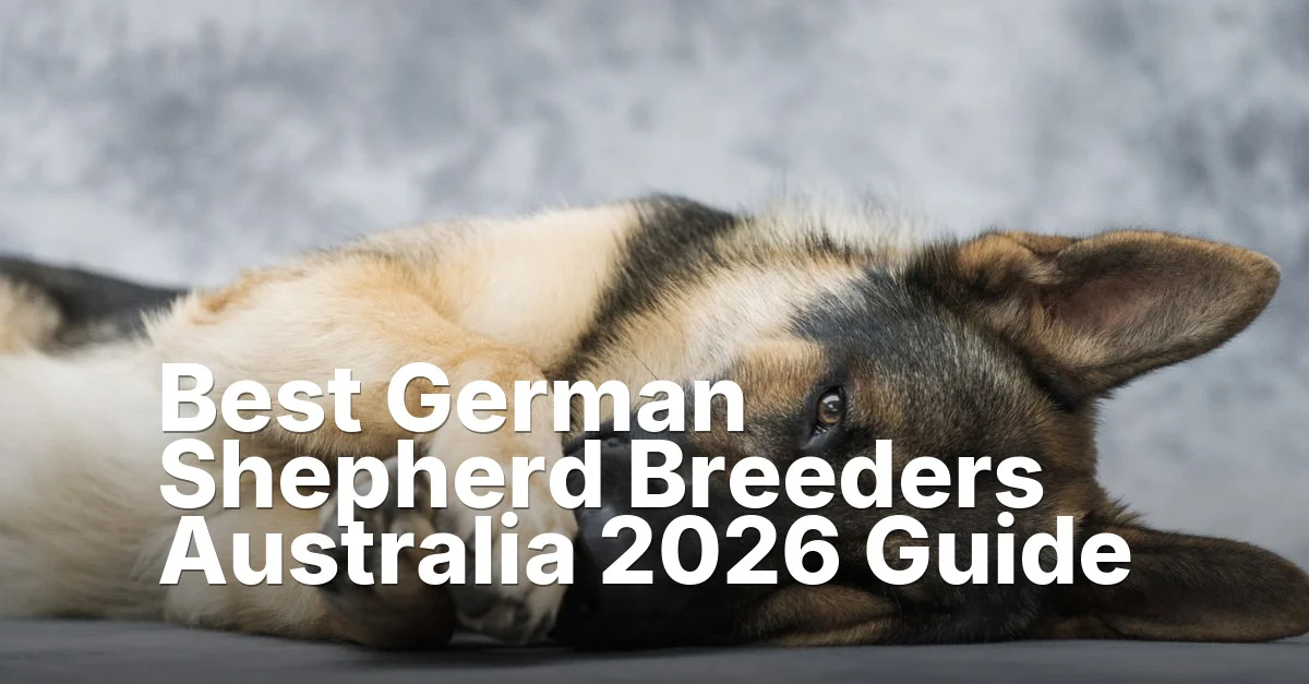 Best German Shepherd Breeders Australia — featured guide image