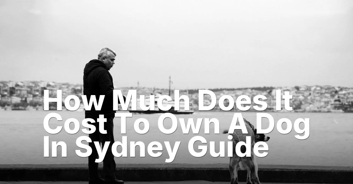 How Much Does It Cost To Own A Dog In Sydney Guide - Mindiampets | Pet Shop Online Own dog sydney - article featured image