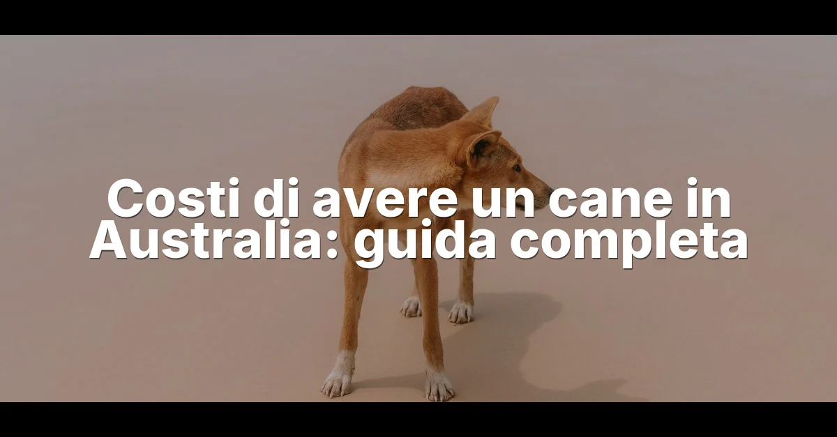 Costi Di Avere Un Cane In Australia — featured guide image