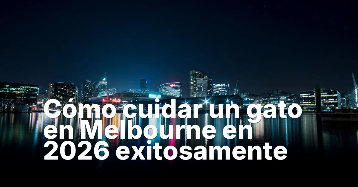 Cómo Cuidar Un Gato En Melbourne Guide - Mindiampets | Pet Shop Online Gato en melbourne - article featured image