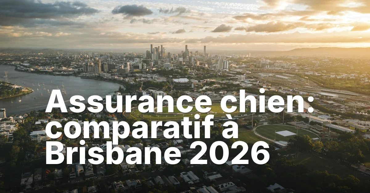Assurance Chien: Comparatif à Brisbane Guide - Mindiampets | Pet Shop Online Comparatif à brisbane - article featured image