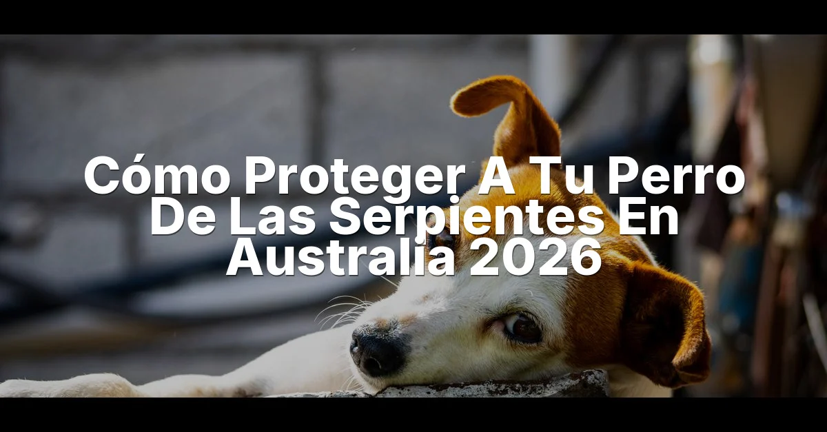 Cómo Proteger A Tu Perro De Las Serpientes En Australia Guide - Mindiampets | Pet Shop Online Cómo Proteger A Tu Perro De Las Serpientes En Australia — featured guide image