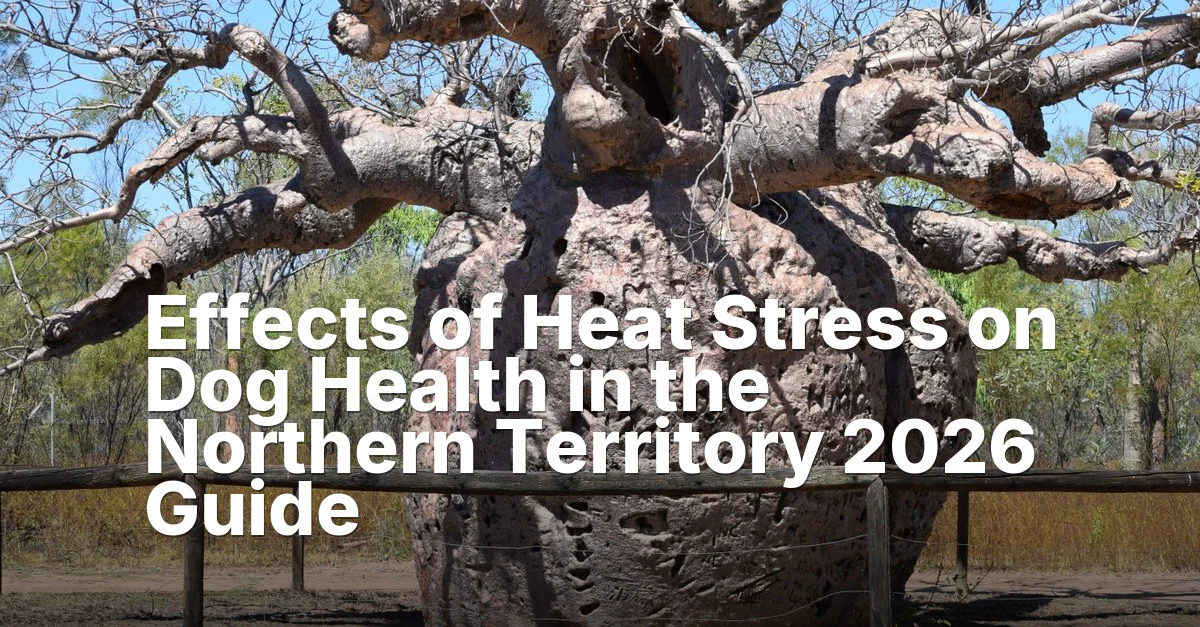 Health northern territory - article featured image