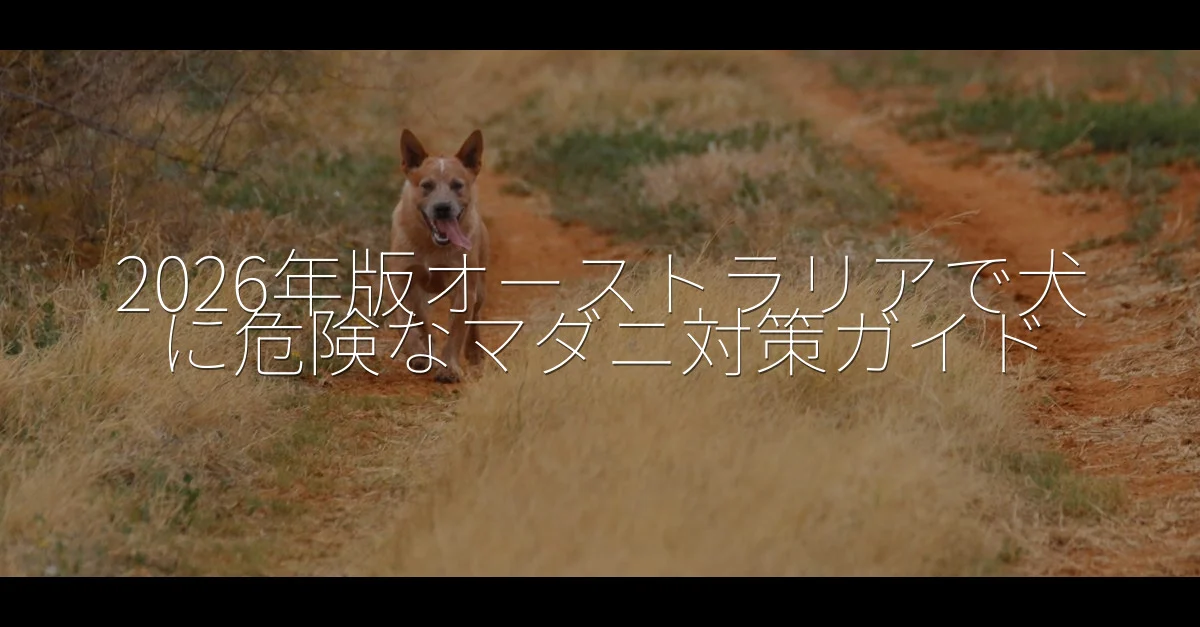 オーストラリアで犬に危険なマダニ対策 Guide - Mindiampets | Pet Shop Online オーストラリアで犬に危険なマダニ対策 — featured guide image