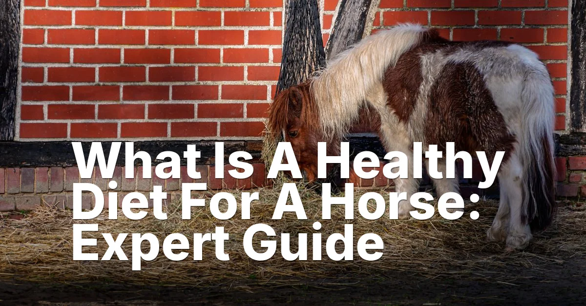 Healthy diet horse - article featured image