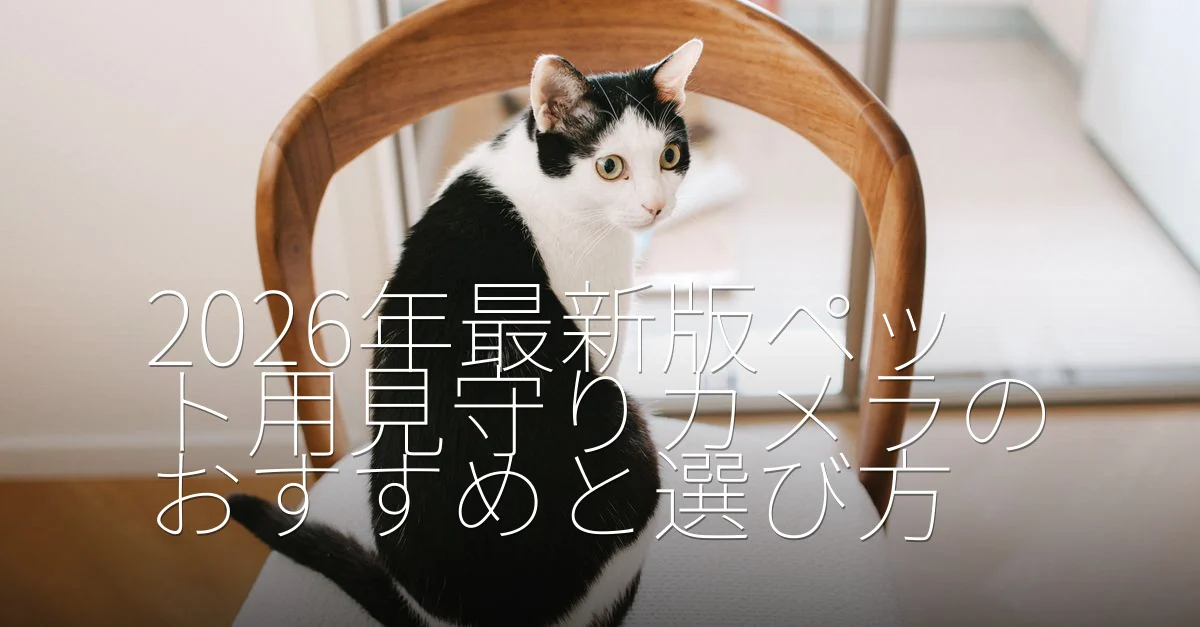ペット用見守りカメラのおすすめと選び方 Guide - Mindiampets | Pet Shop Online ペット用見守りカメラのおすすめと選び方 - article featured image