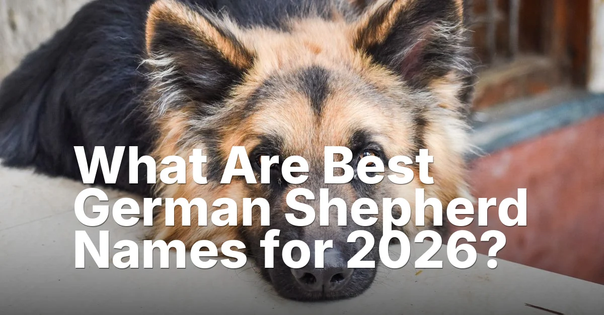 Best German Shepherd Names — featured guide image