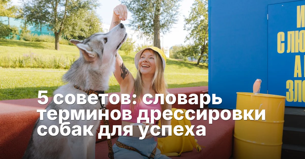 Терминов дрессировки собак - article featured image
