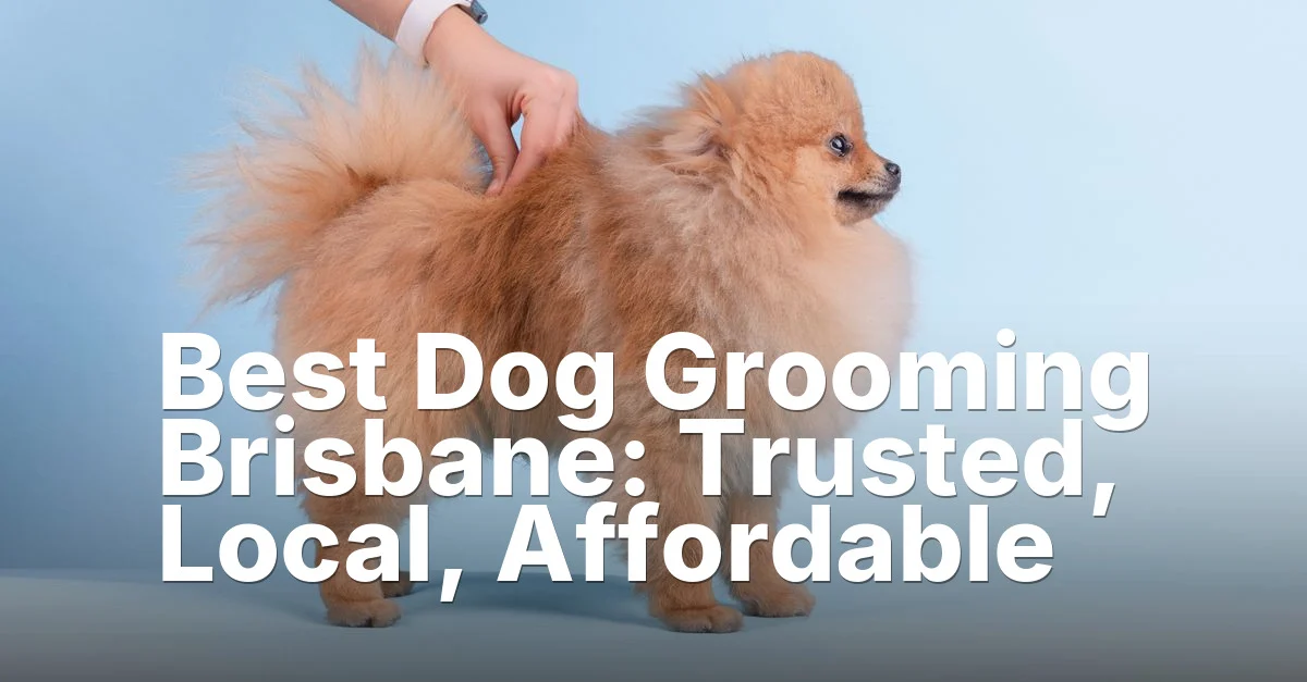 Dog grooming brisbane - article featured image