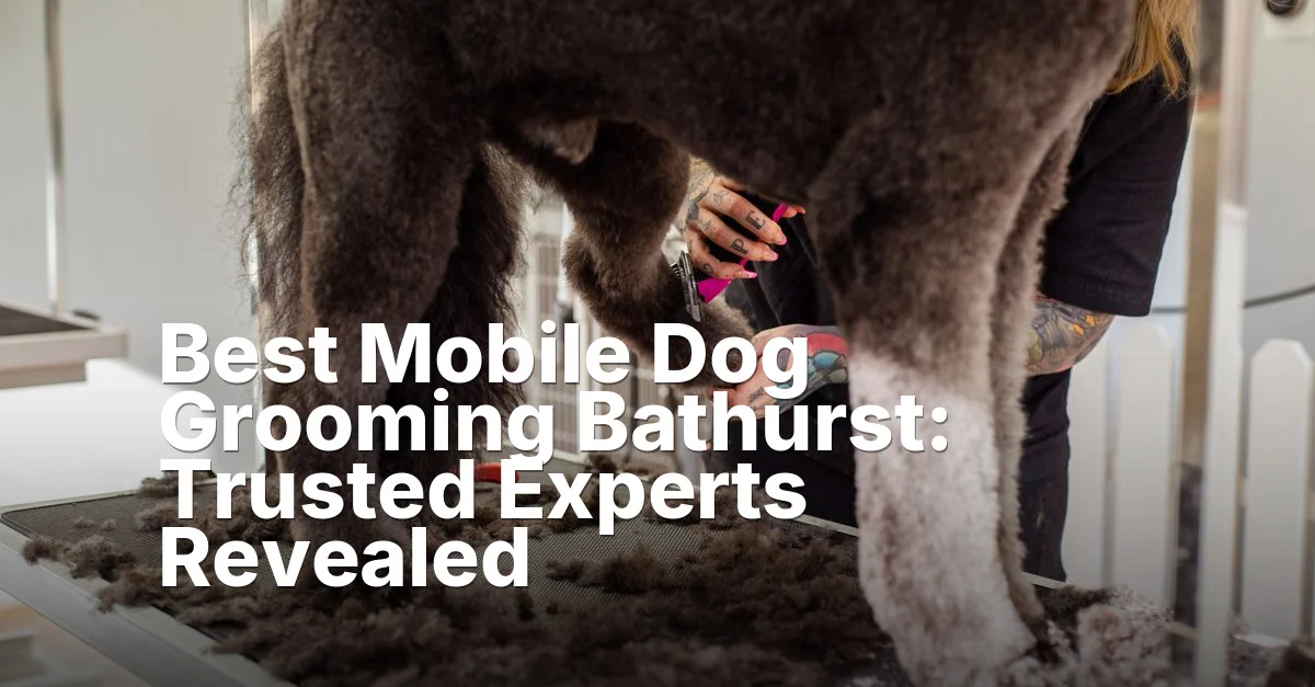 Dog grooming bathurst - article featured image