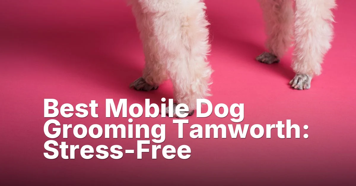 Dog grooming tamworth - article featured image