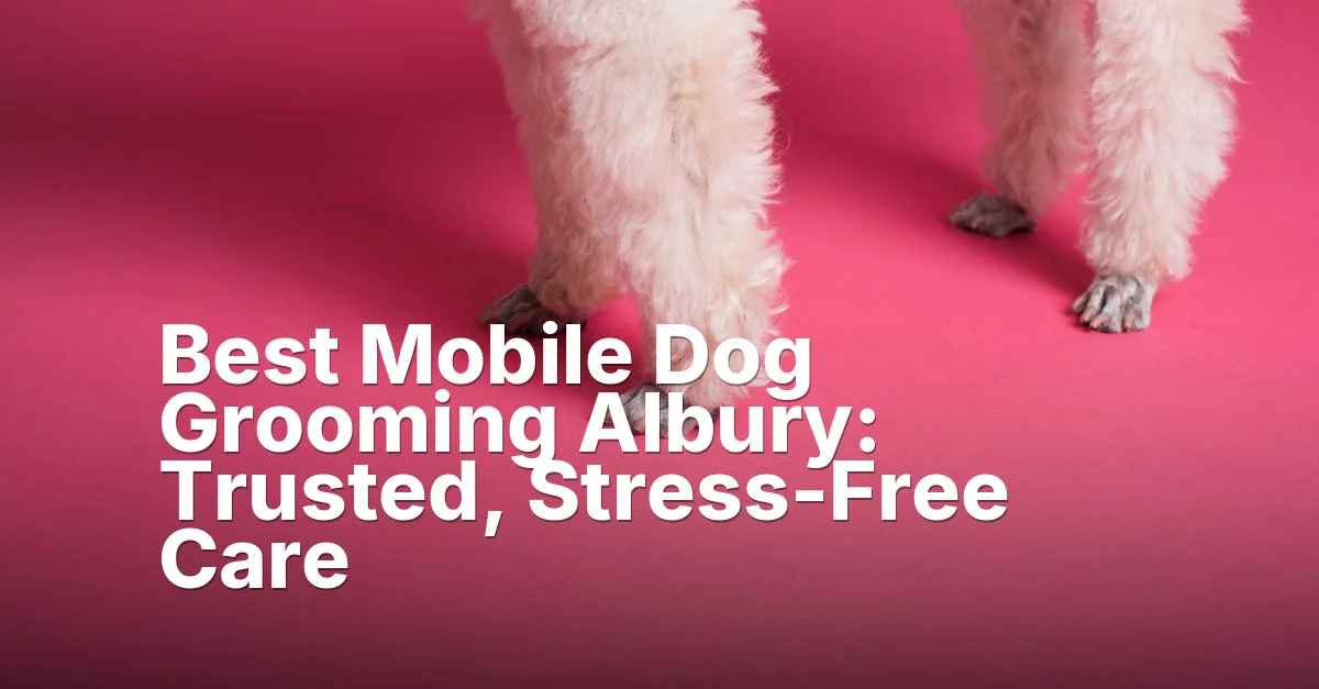 Dog grooming albury - article featured image