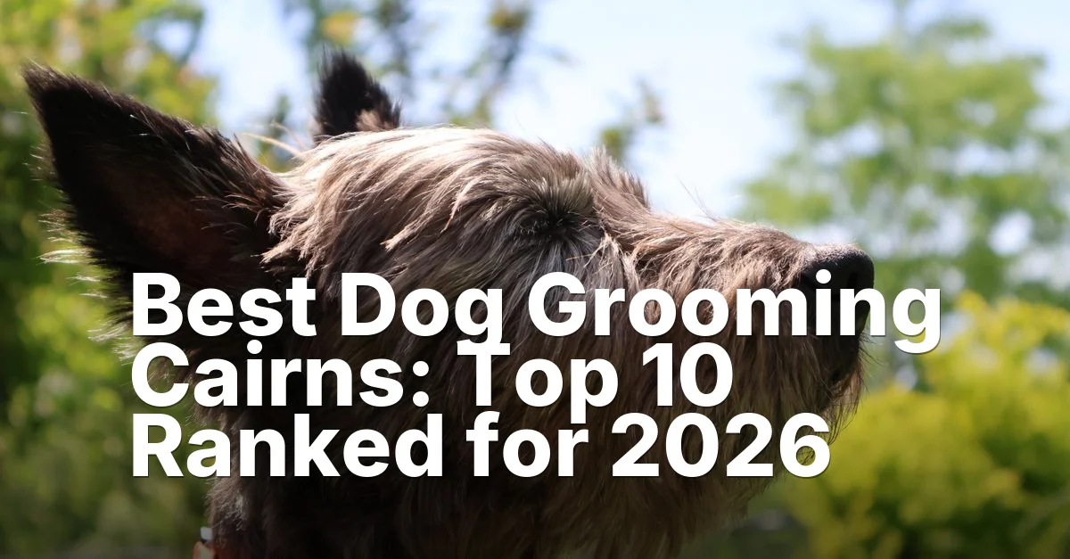 Dog grooming cairns - article featured image