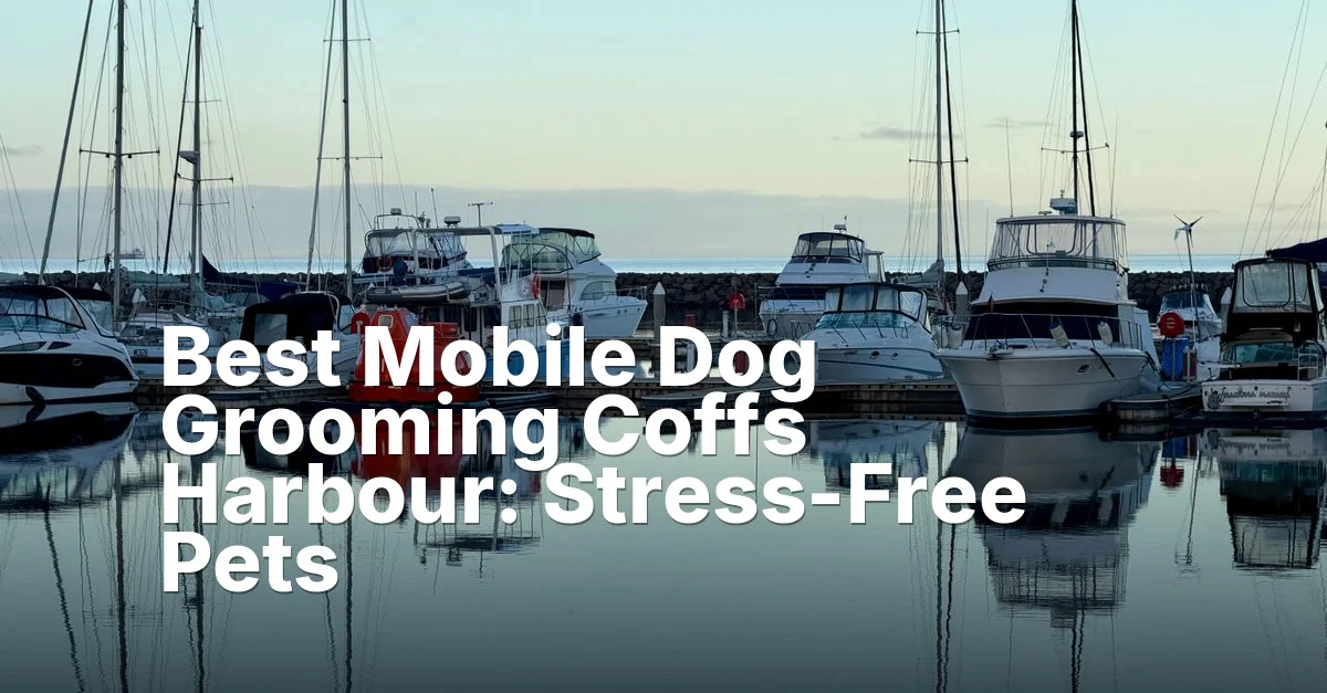 Grooming coffs harbour - article featured image