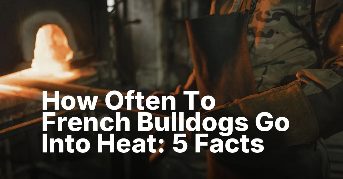 Go into heat - article featured image
