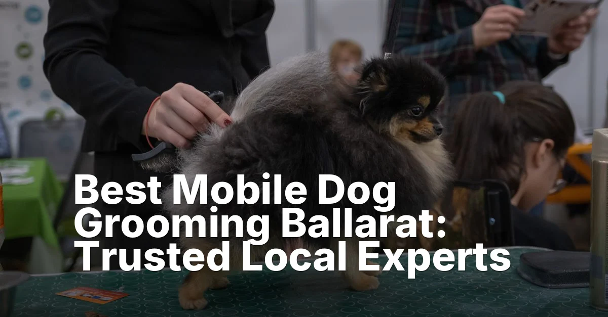 Dog grooming ballarat - article featured image