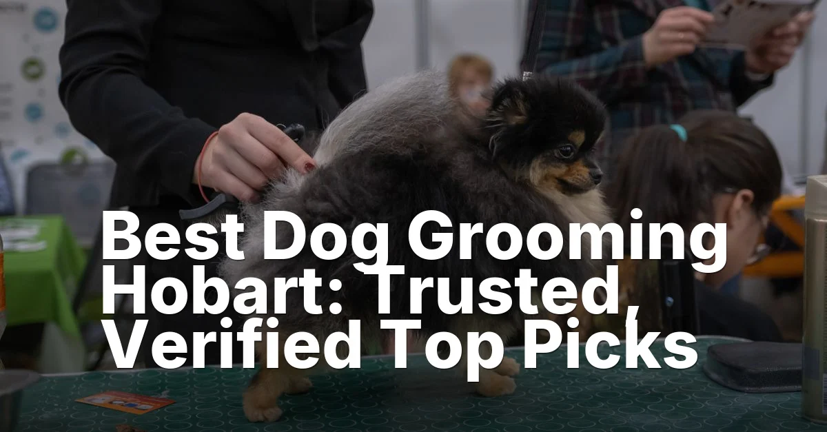Dog grooming hobart - article featured image