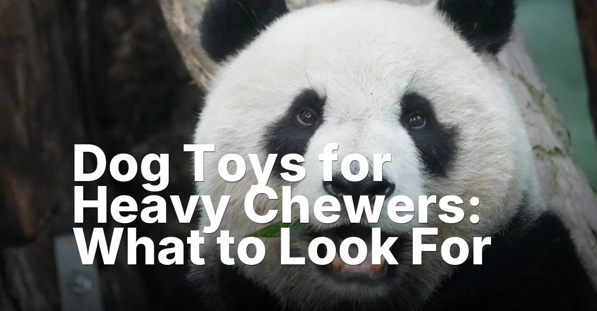 Toys heavy chewers - article featured image